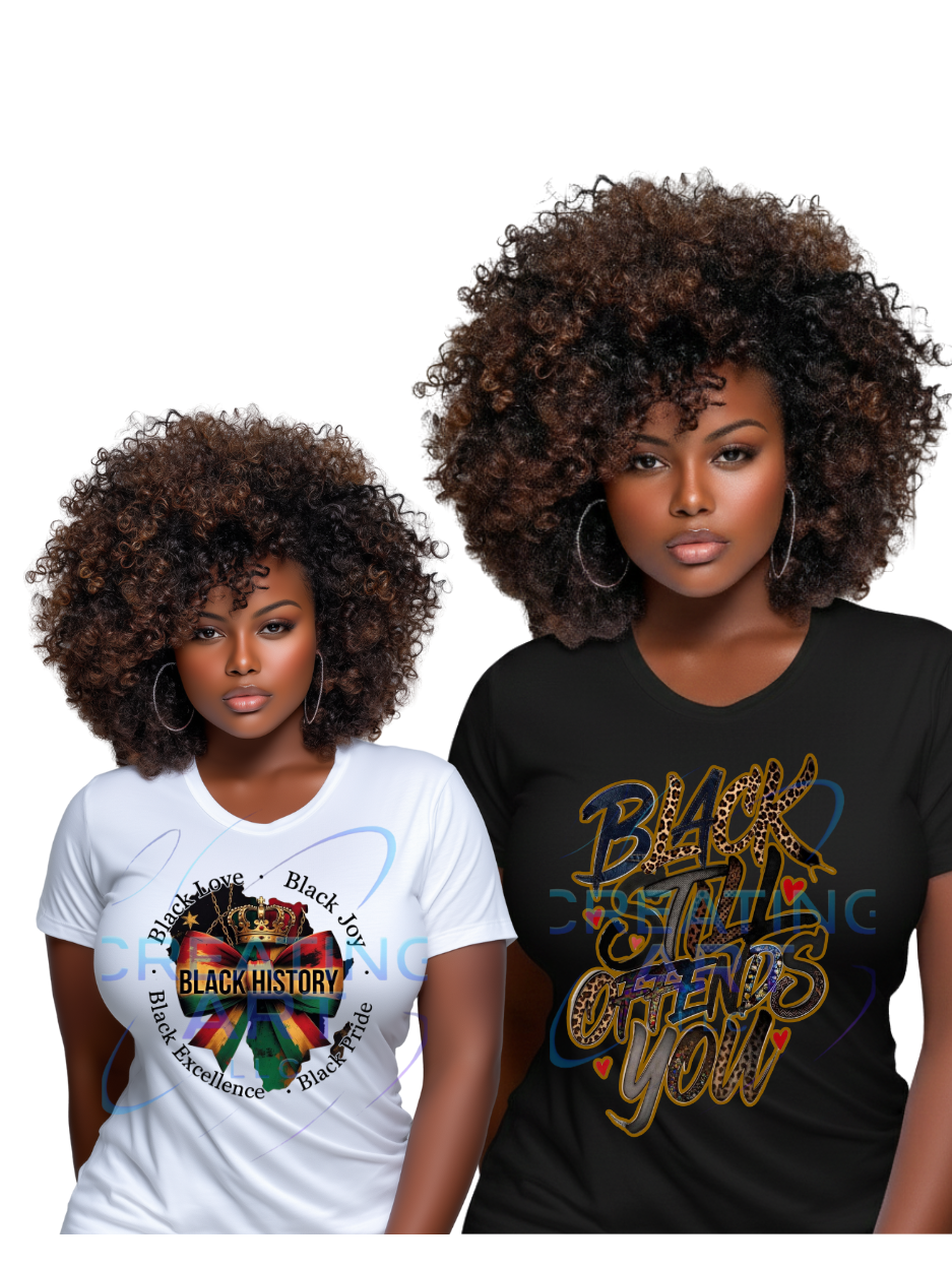 30PK BLACK HISTORY DIGITAL FILES