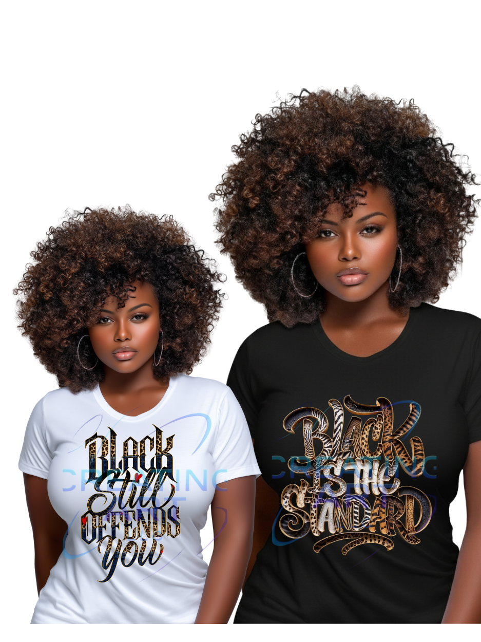 30PK BLACK HISTORY DIGITAL FILES