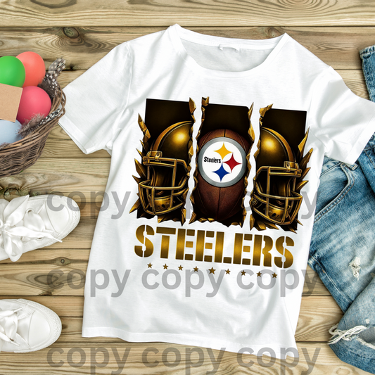 STEELERS PANEL DIGITAL FILES